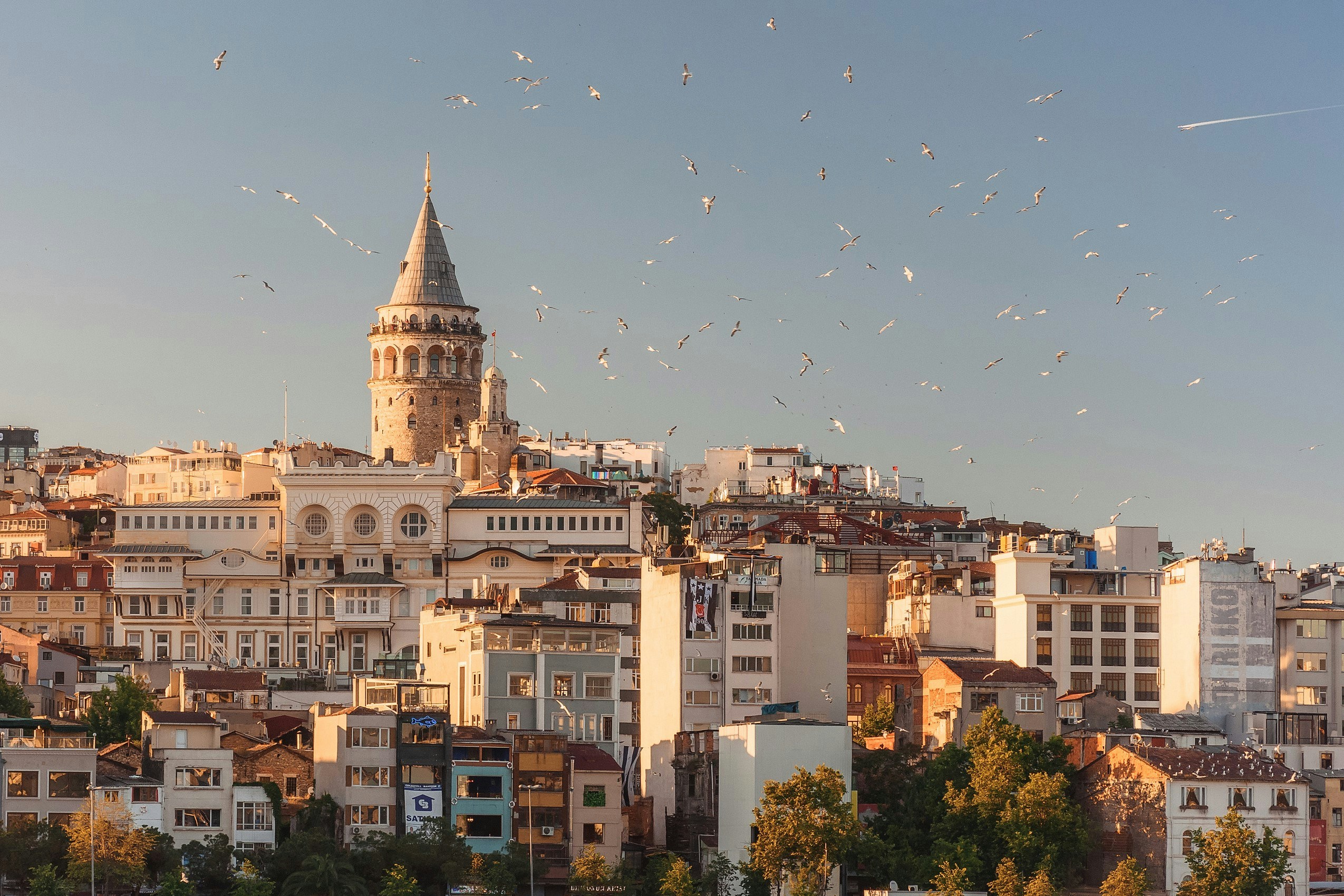 Bosphorus Cruise Galata Tower