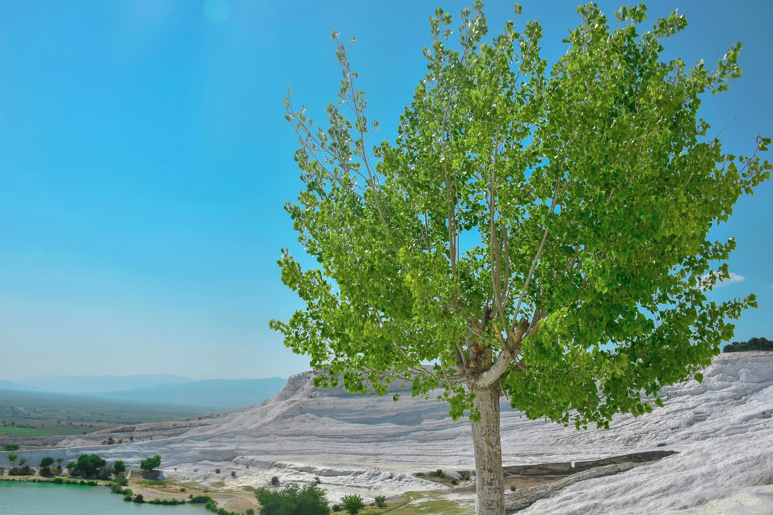 Pamukkale White Travertine Terraces